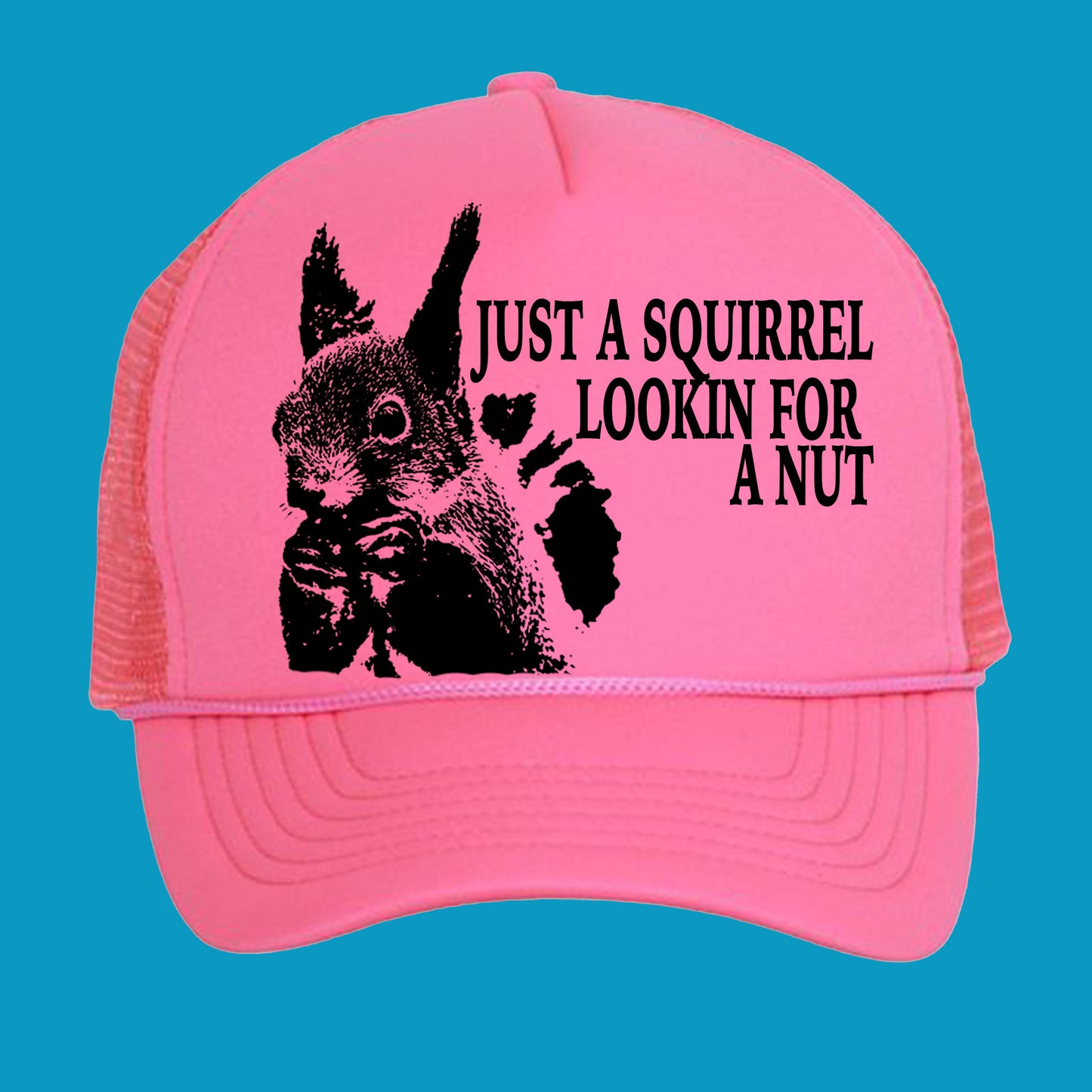 looking for a nut